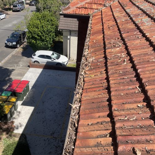 Leaf-filled gutter along a terracotta roof above a courtyard with wheelie bins